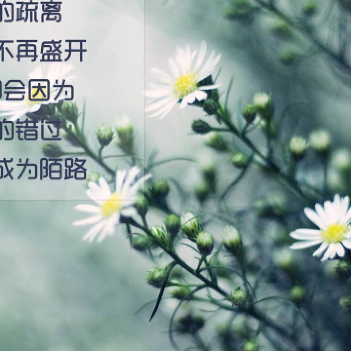 春霞的头像