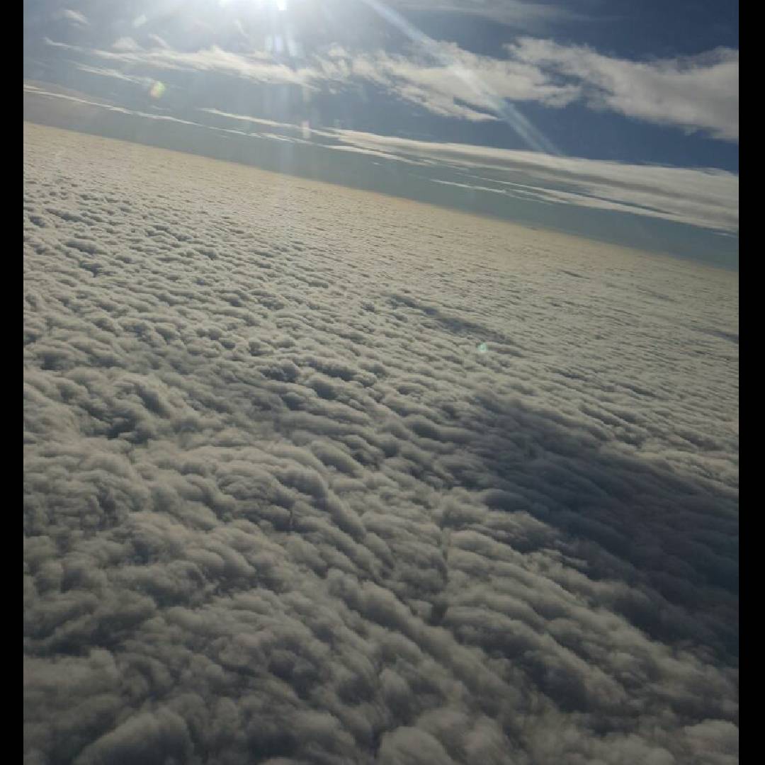 王敏的头像