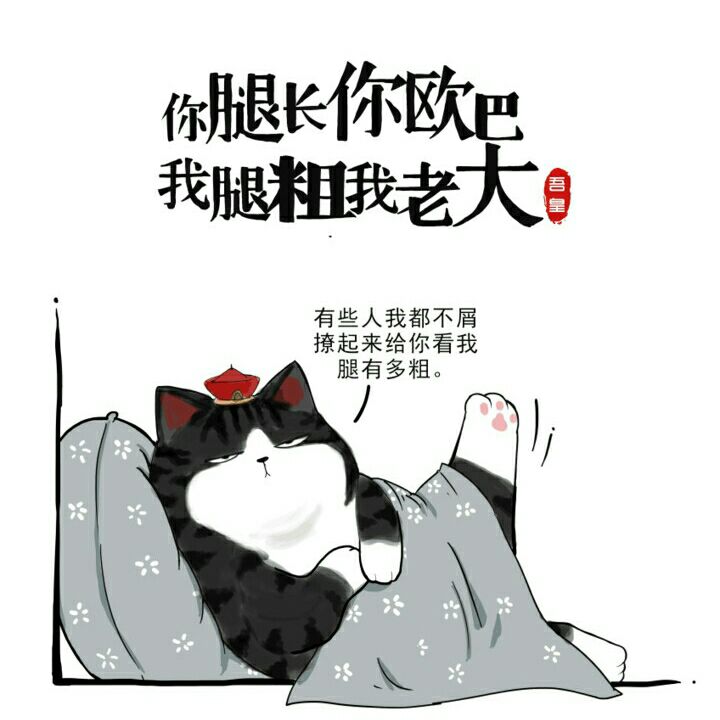 渔鱼的头像