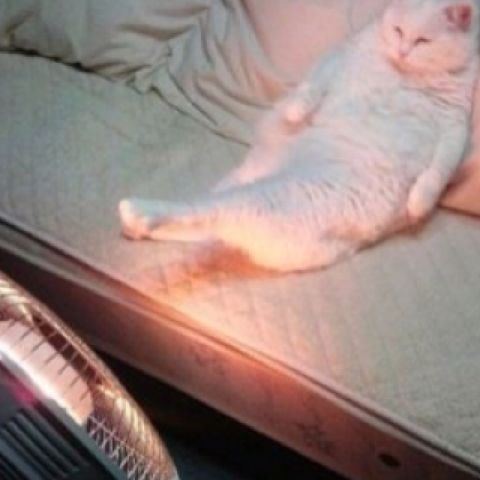 书友897703945的头像