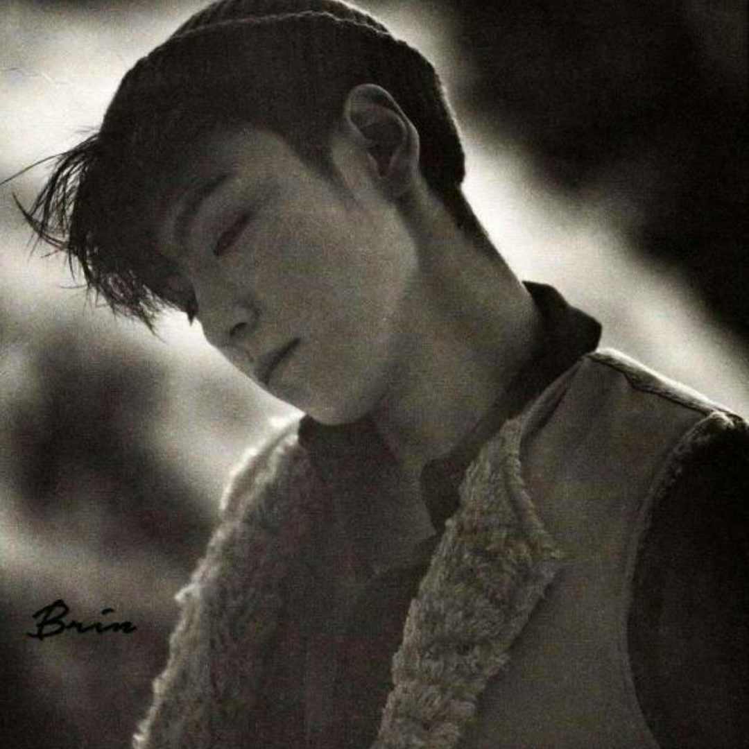 迷茫的掌门在的头像