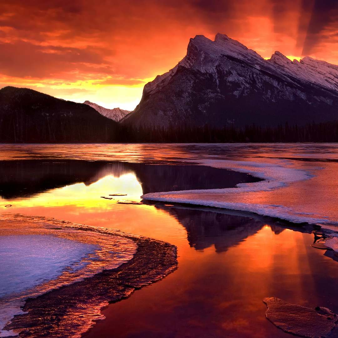 nxwjt的头像-淇云博客-专注于IT技术分享