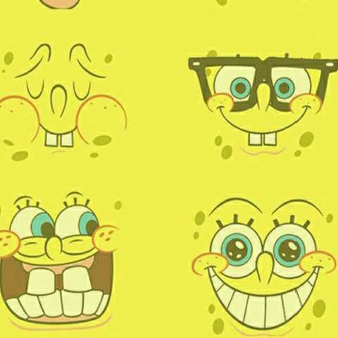 亲宝文化的主页_土豆视频