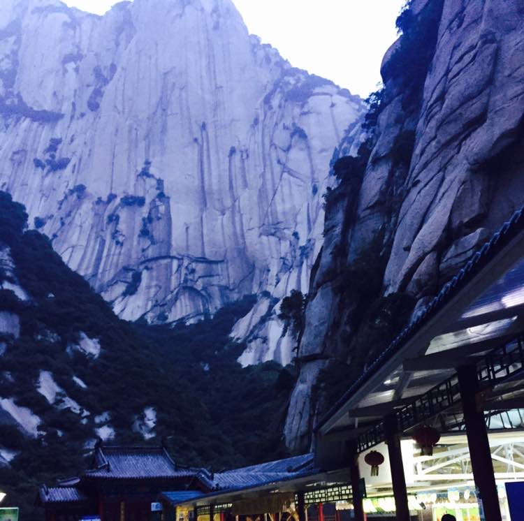 炒股的智慧网的自频道