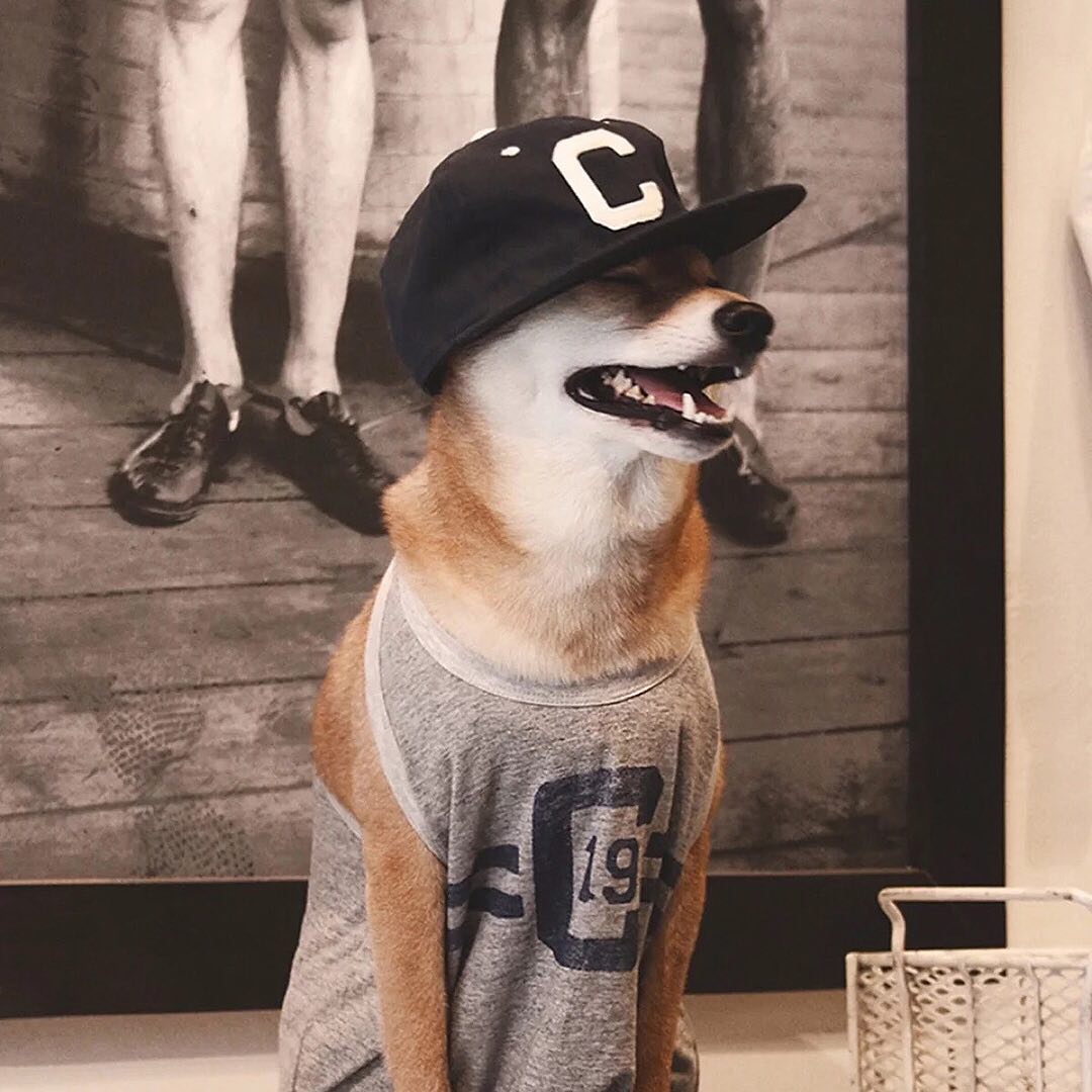 梁耀文80139的自频道-优酷视频