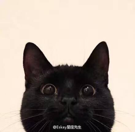肖青的头像