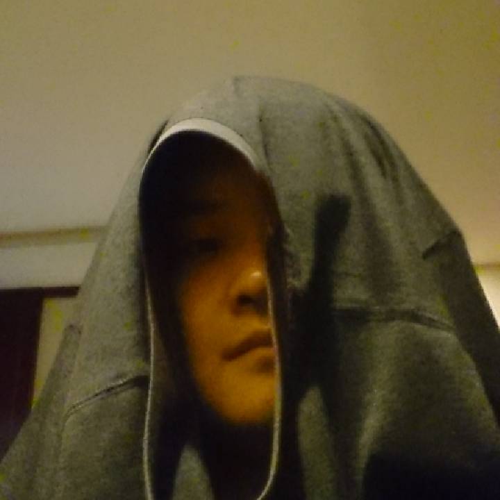 书友958013229的头像