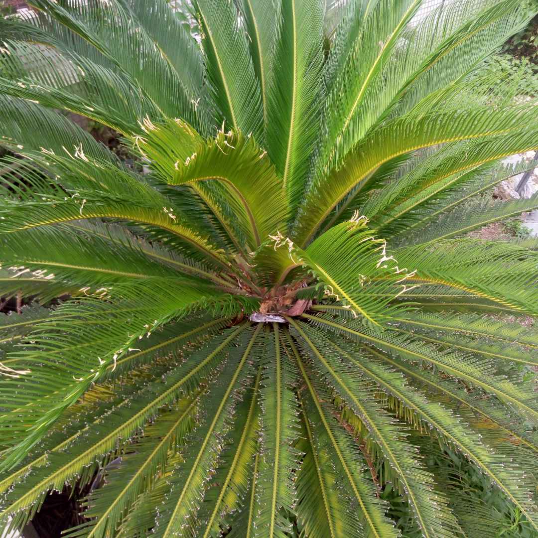 开心老友记1477149432442758的主页_土豆视