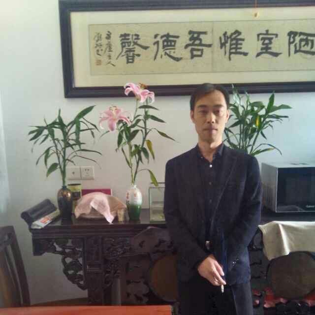 南飞雁的头像