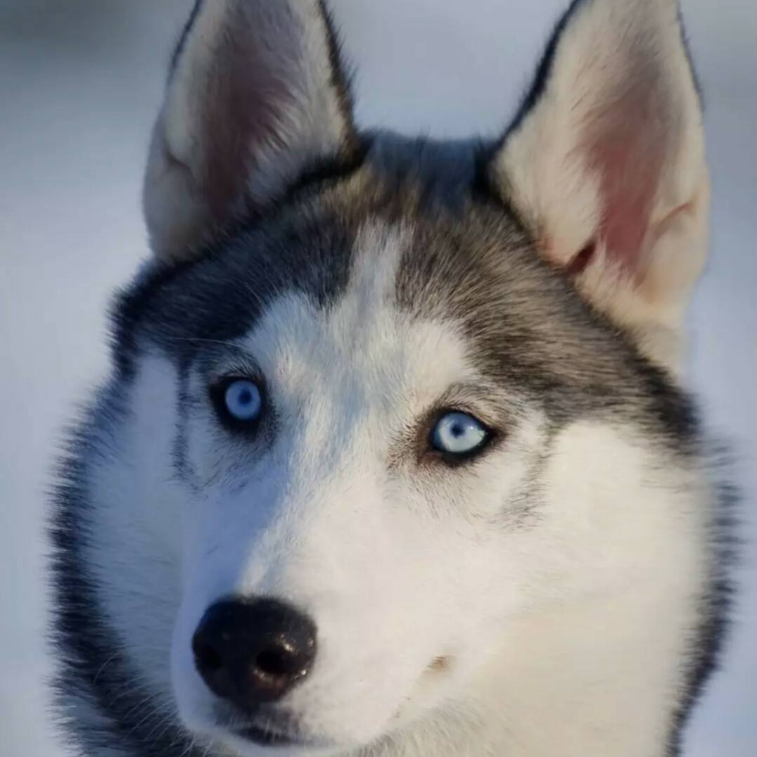 Lin小北解说的自频道