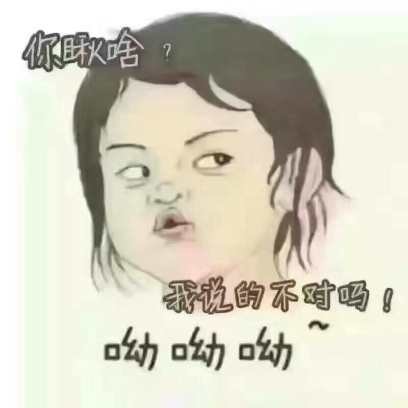 书友913970357的头像