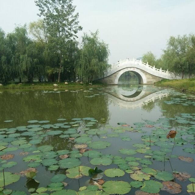 兮灵羽♂羽的头像