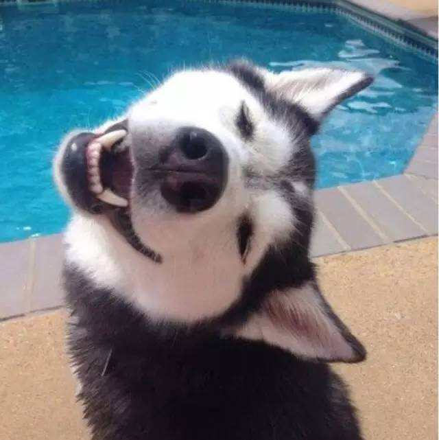 徐哆哆的头像