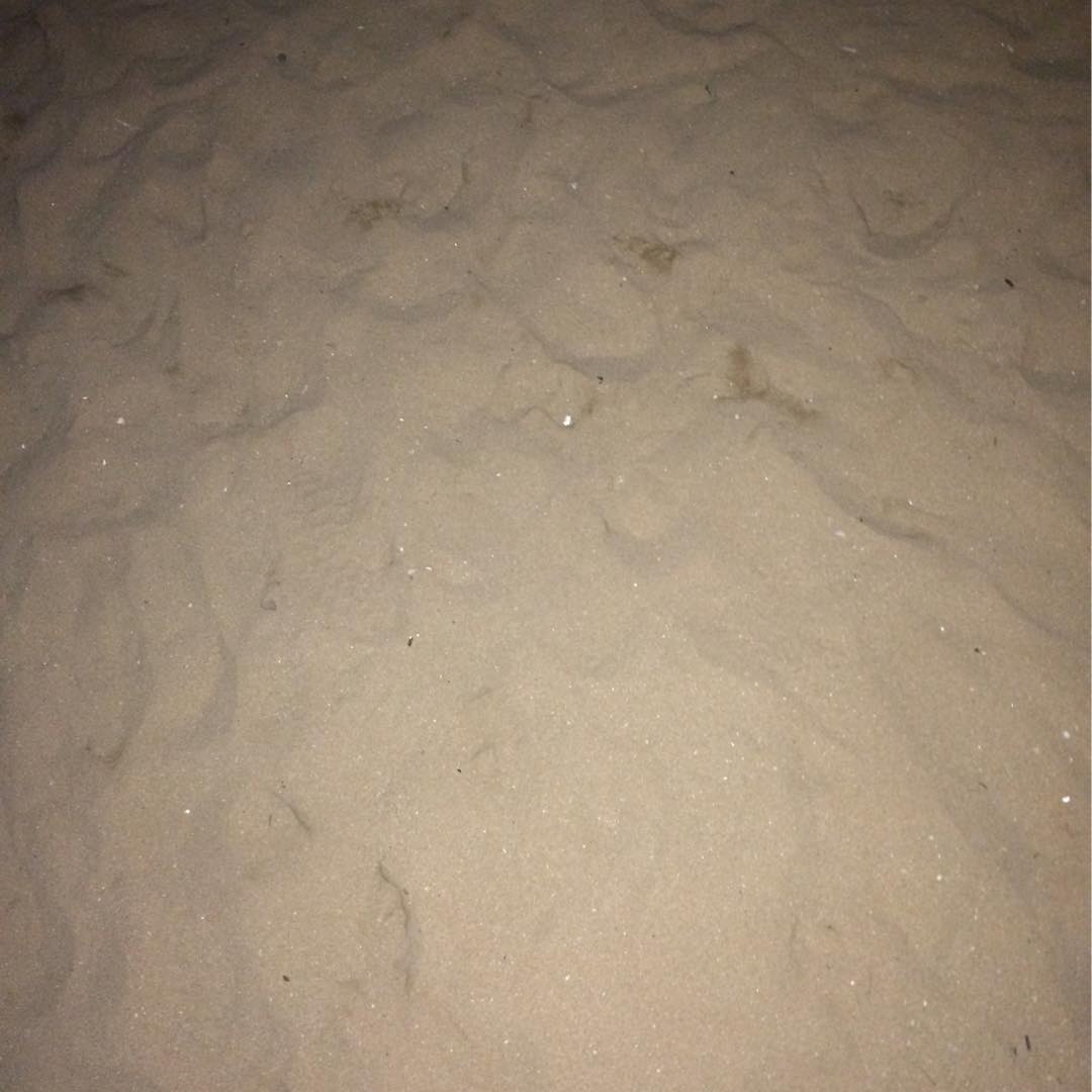 泛泛的头像