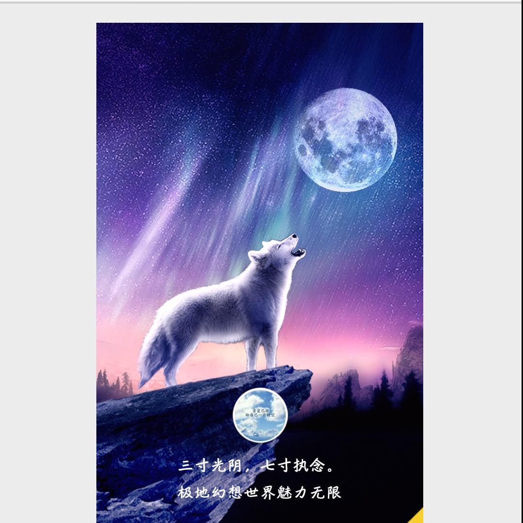 我在人间的头像