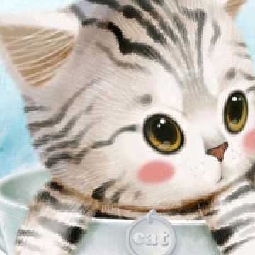 晴天的头像