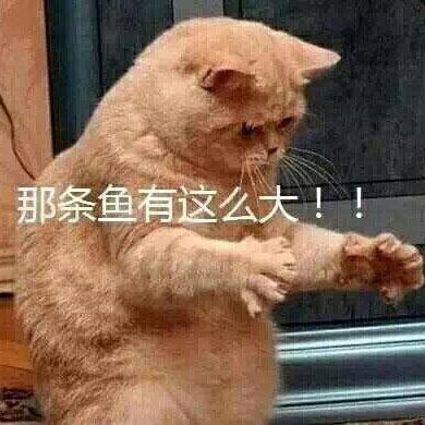 小媚女的头像