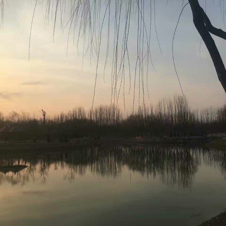 善良的战神在铸剑的头像