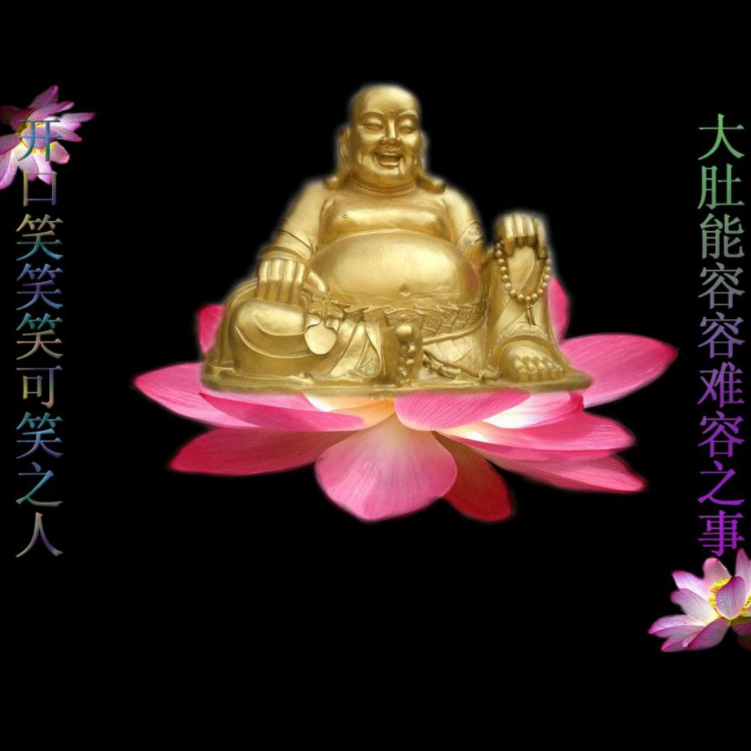 粑粑的头像