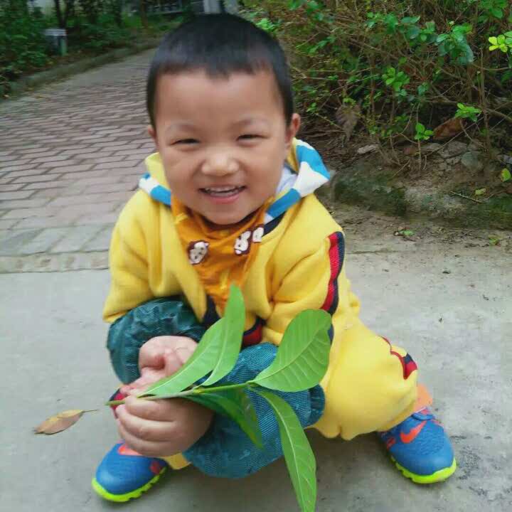 书友1056795817的头像