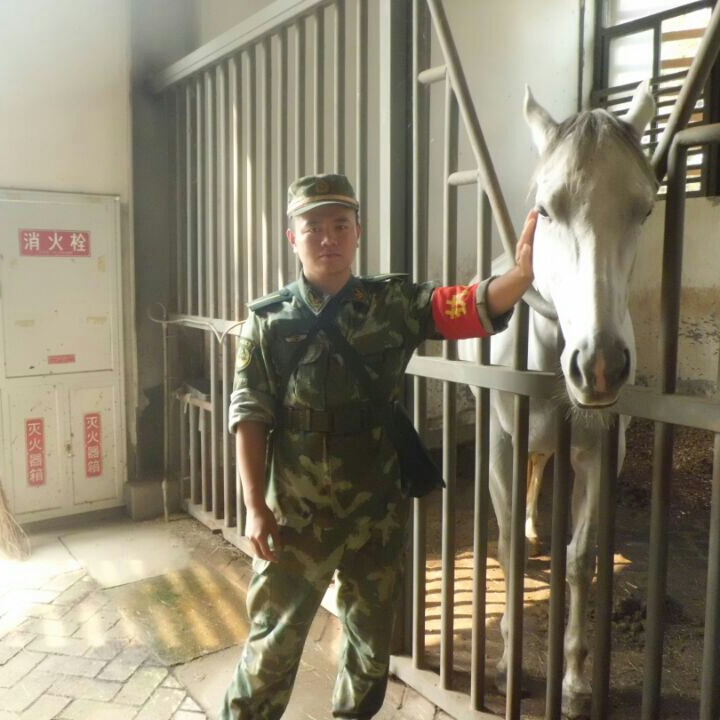 玉起的头像