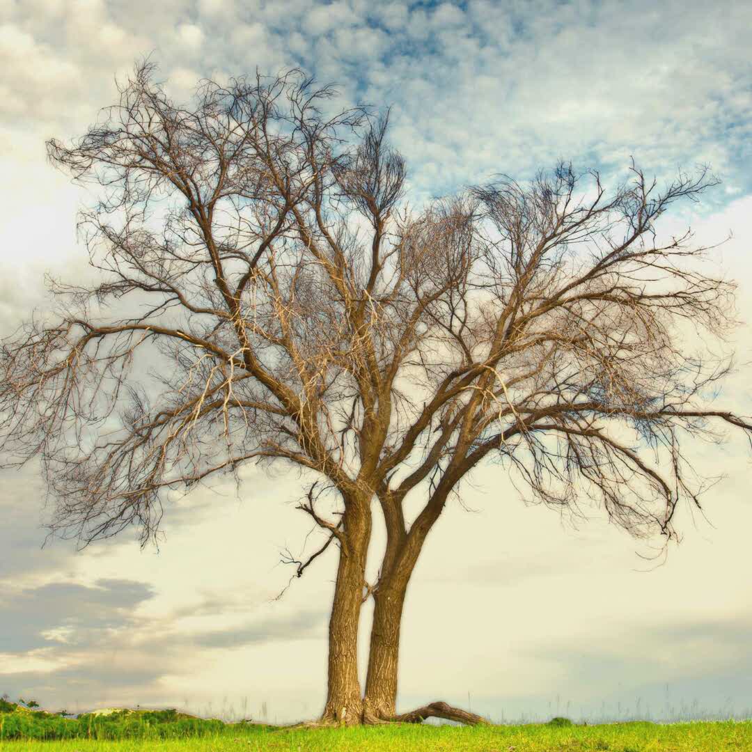 卖凉粉93176的自频道-优酷视频