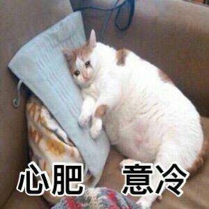 蹦蹦蹦的头像