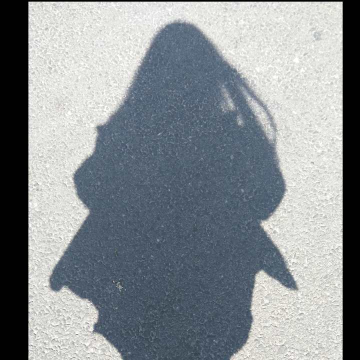 24 的头像