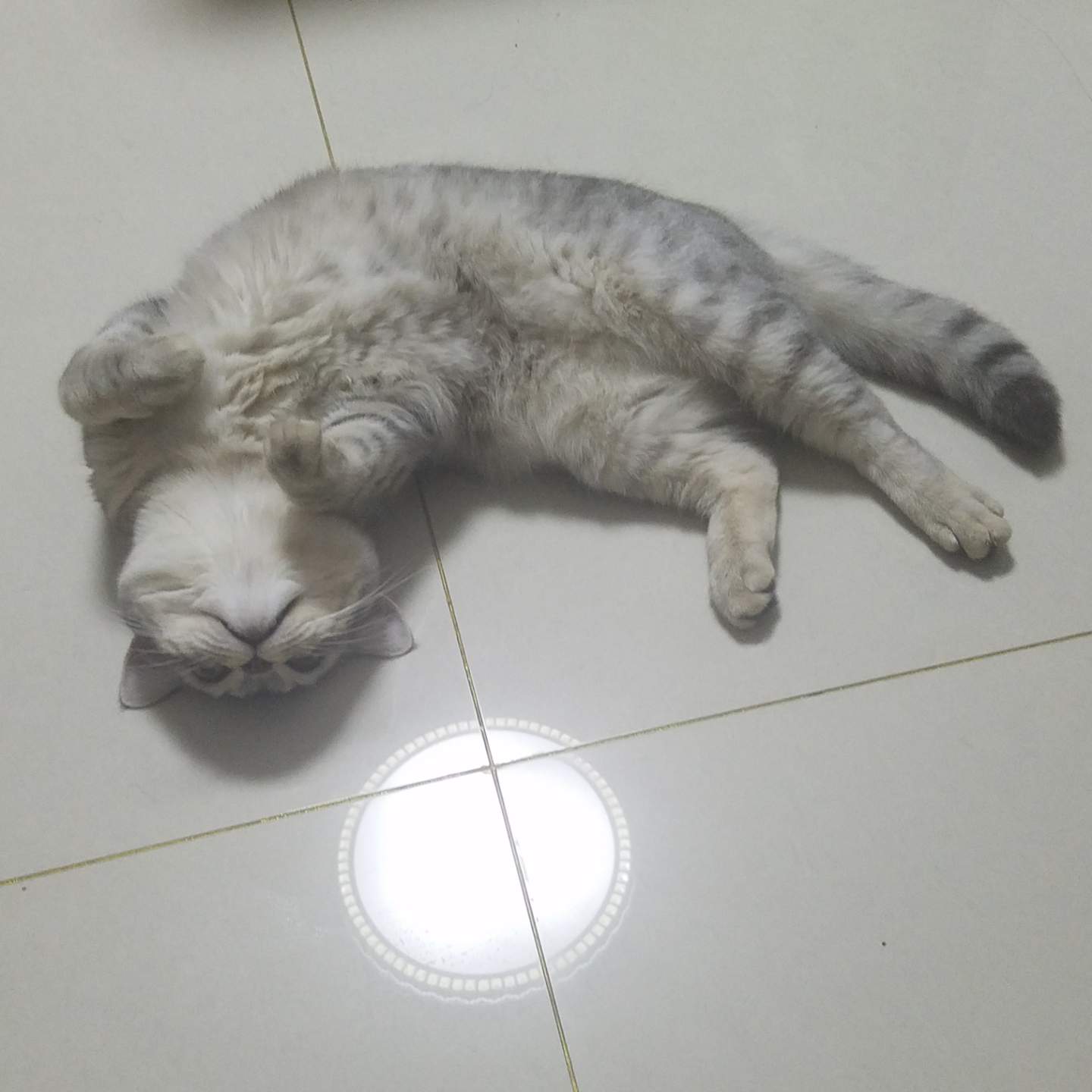 容和最帅的头像