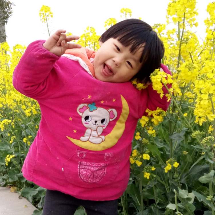 书友930650381的头像