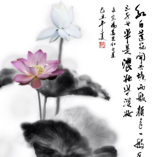 书友807488491的头像