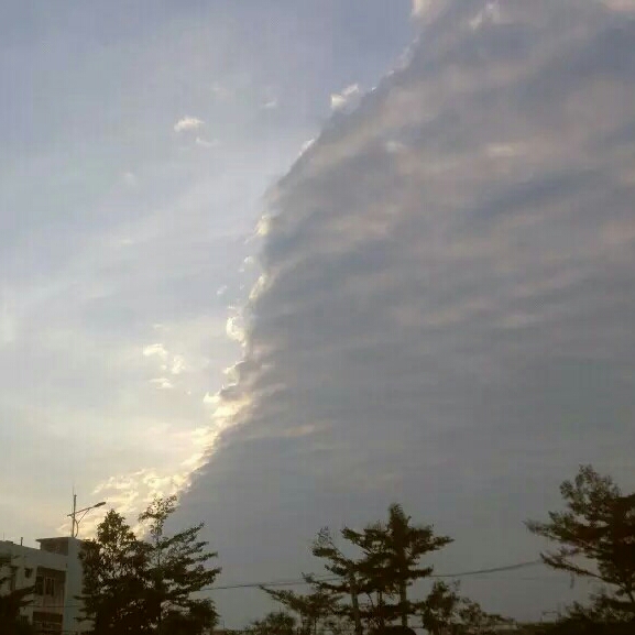 黎的头像