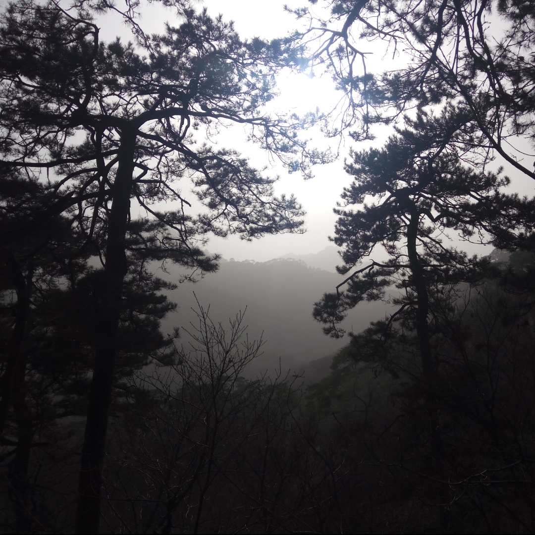 染梦境的头像