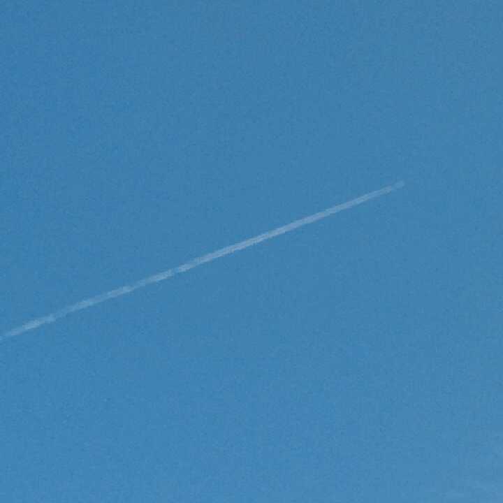 jackychw的头像-洛雪音乐助手-软件分享