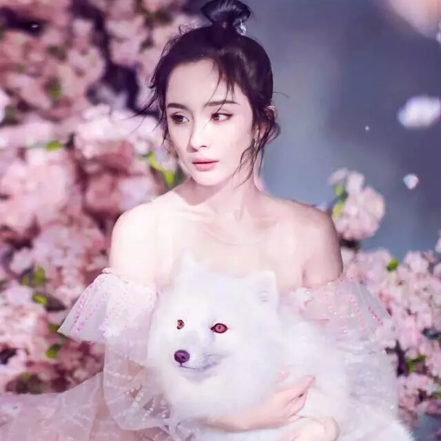 话唠也次元的头像