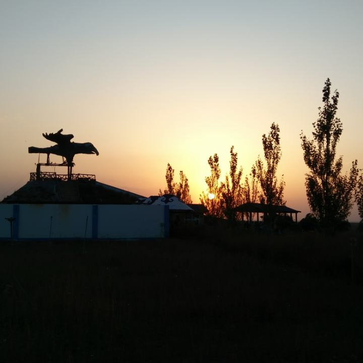 郑韦的头像