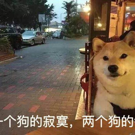 小小王的头像