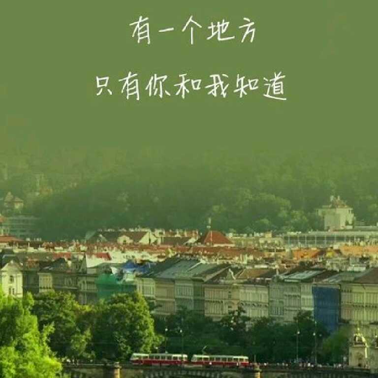 秀娟的头像