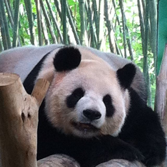 小x+小不点的头像