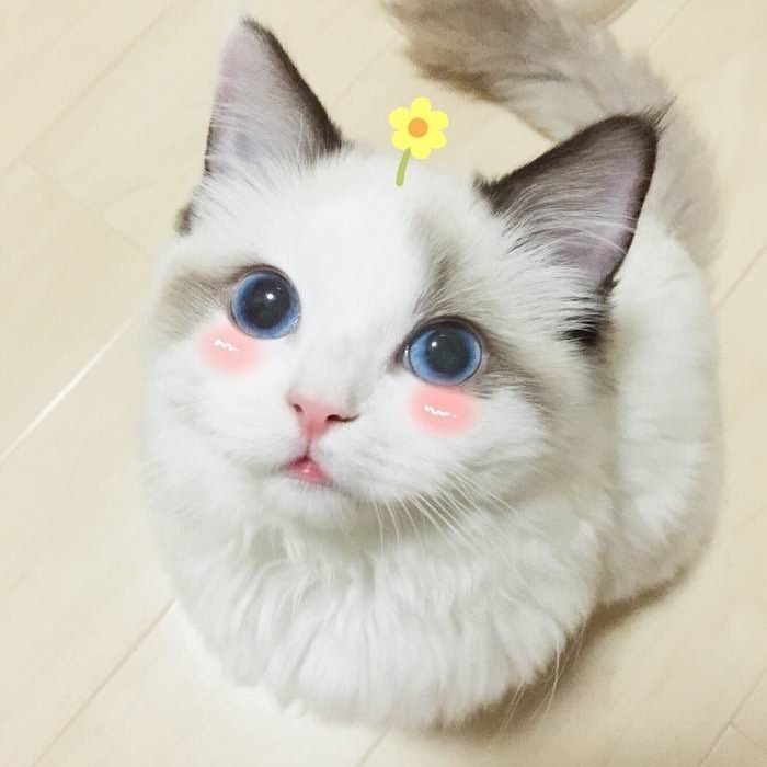 徐小童的头像