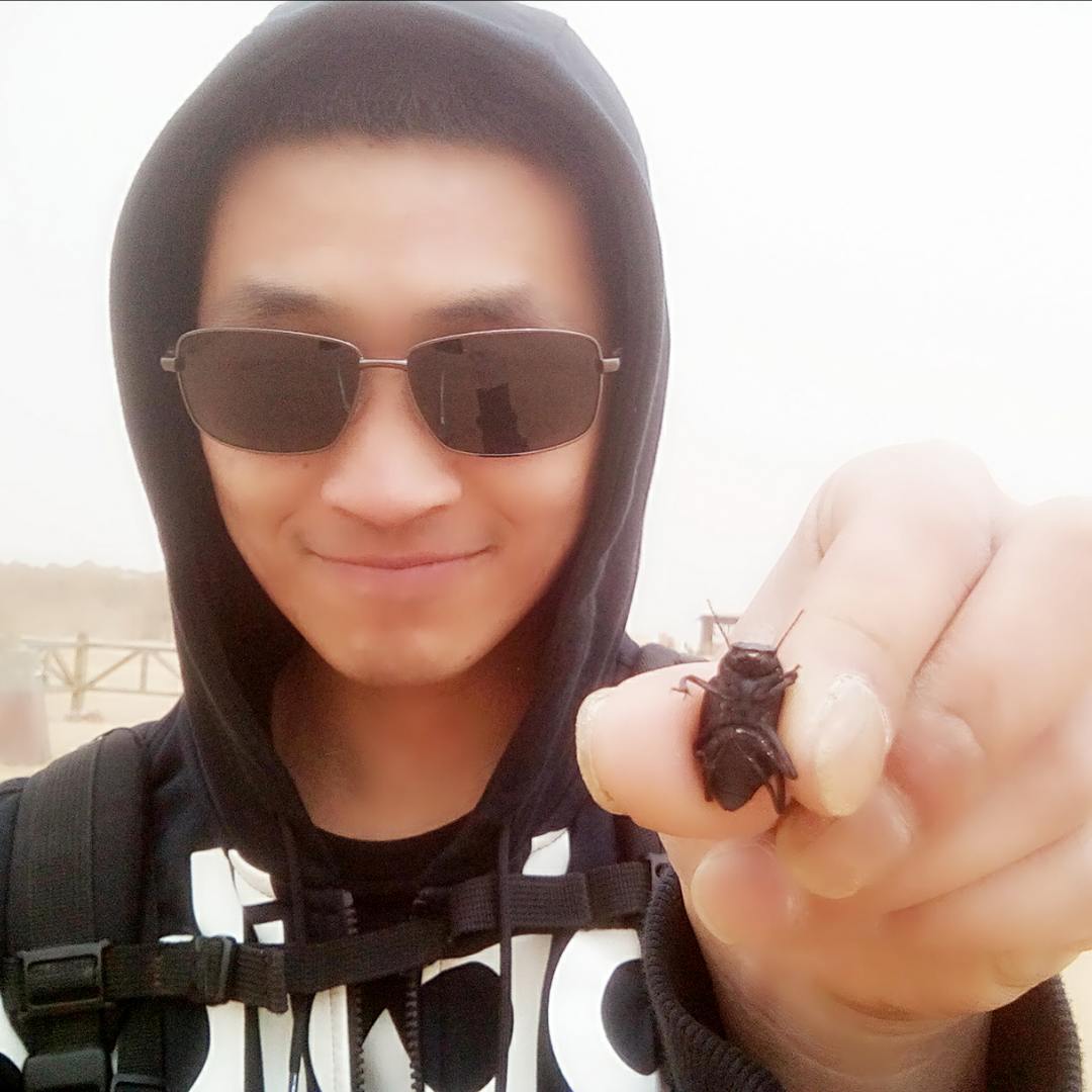 米奇沃克斯的自频道