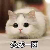 我是明爷的头像