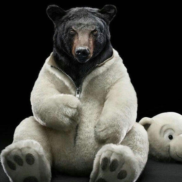 感恩的心手语视频教程_标清