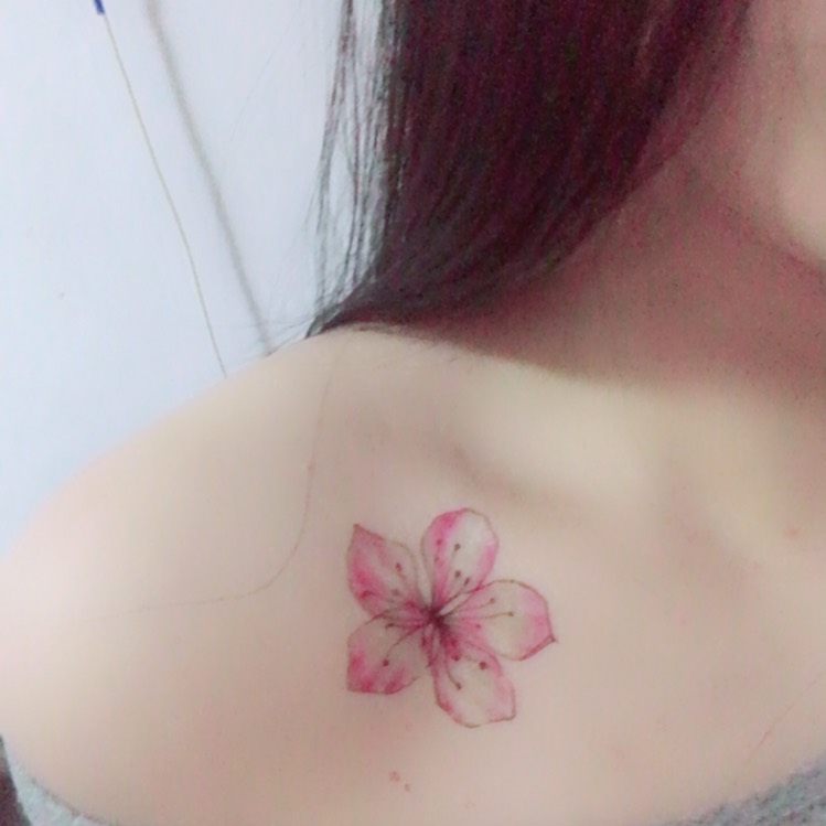 欣怡的头像