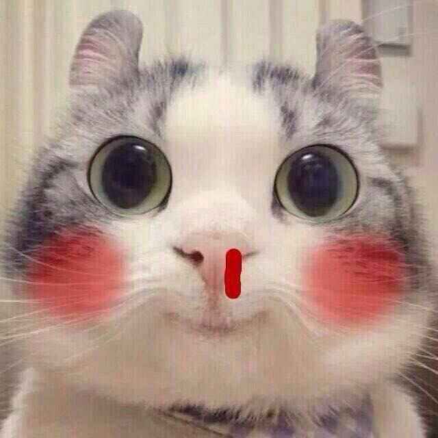 猪儿虫的头像