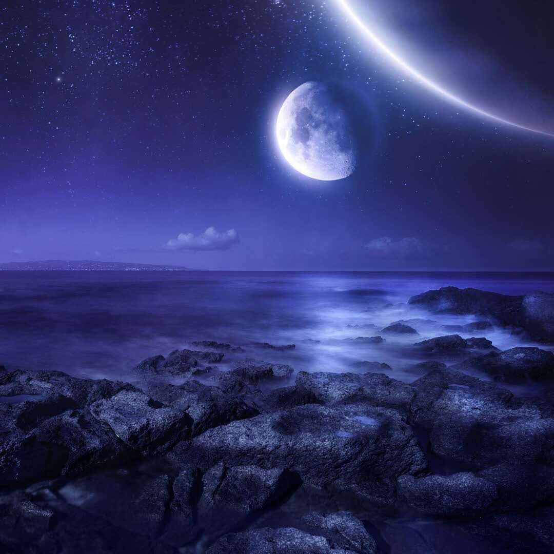 陈的头像