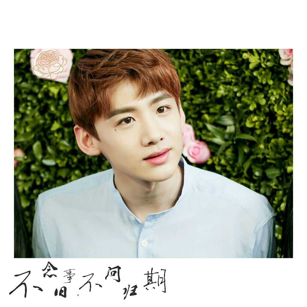 嘤嘤嘤的头像