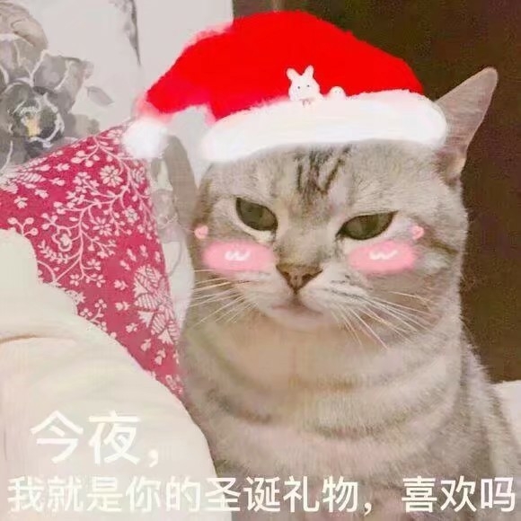 奈何的头像