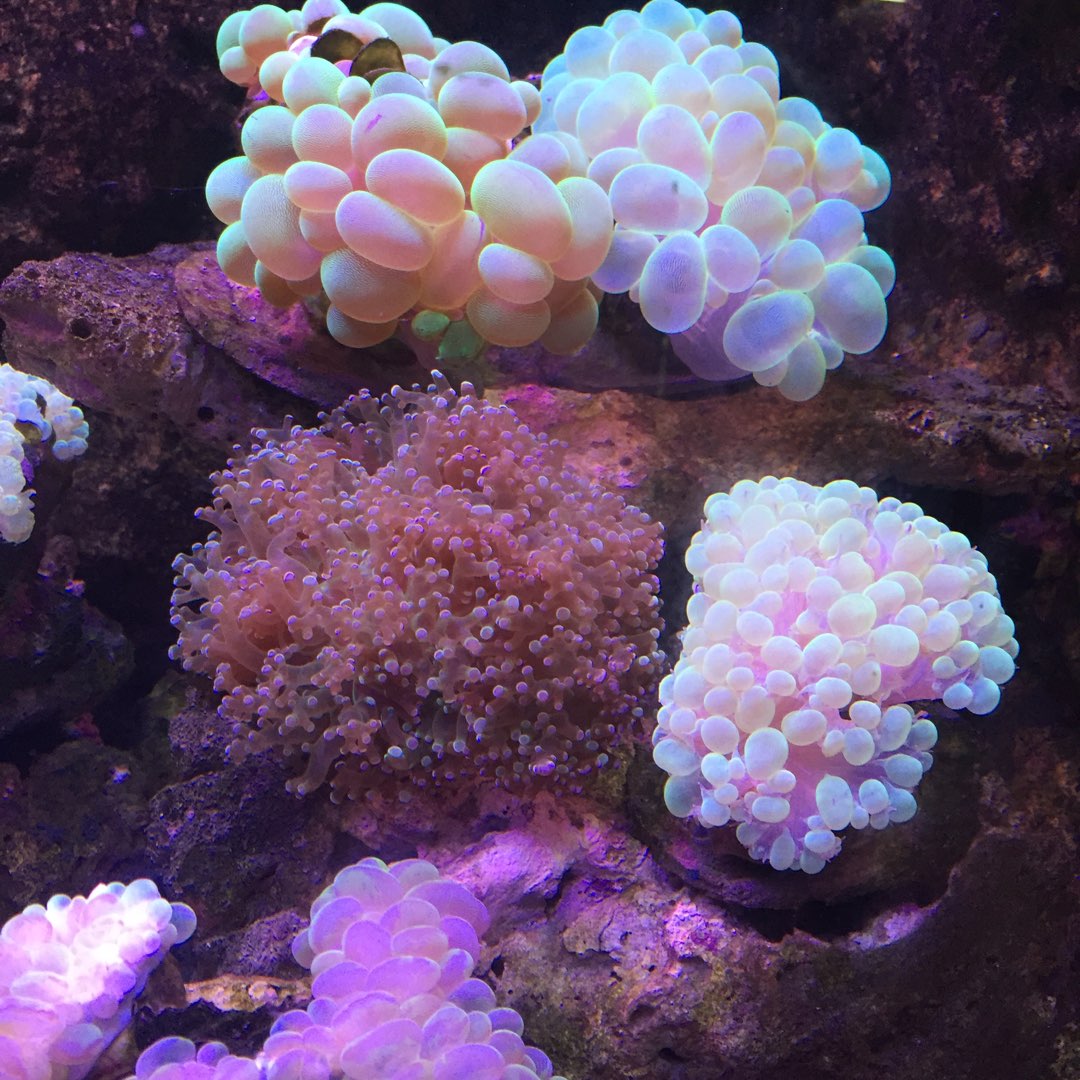 深山里的板蓝根的头像