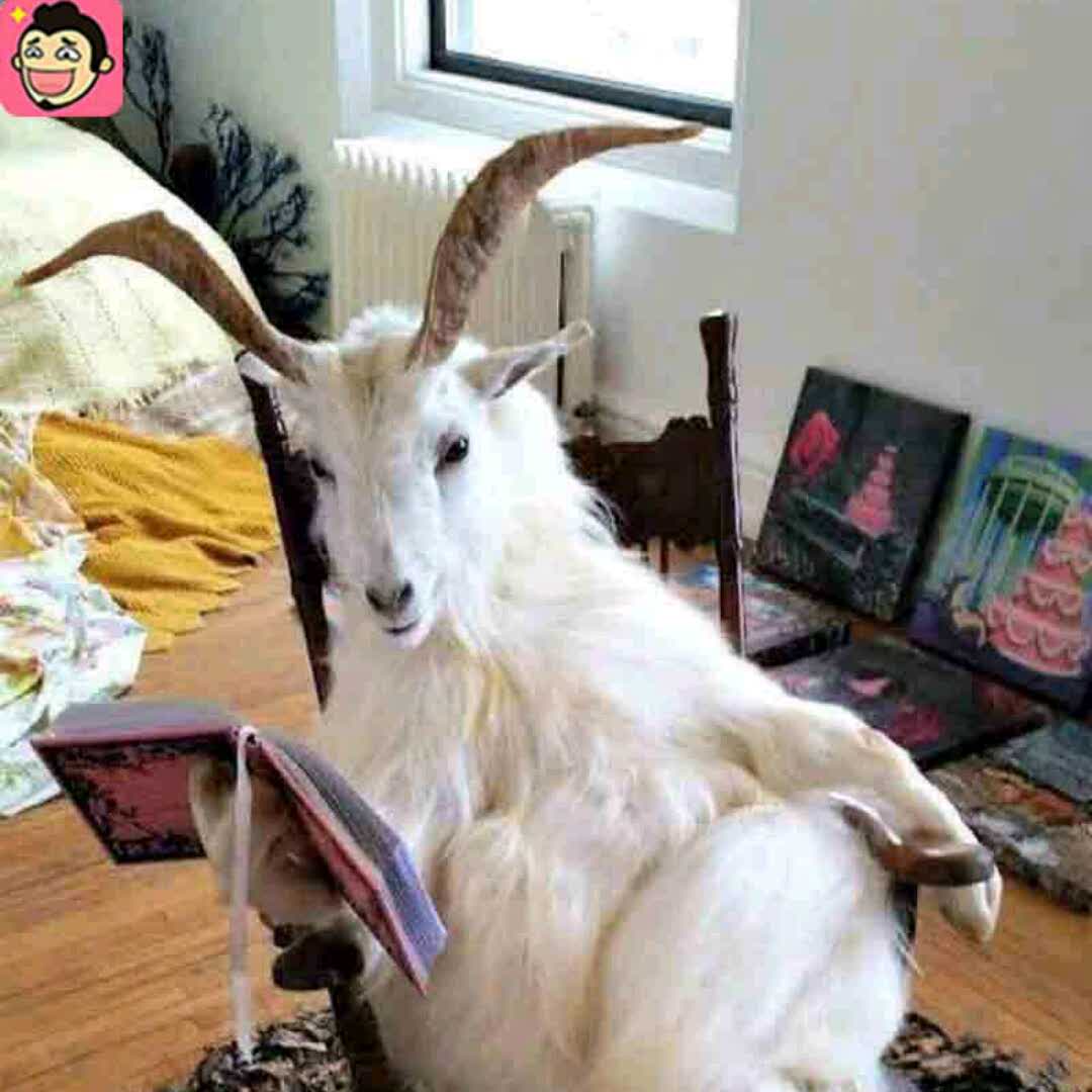 沉默的羔羊的头像
